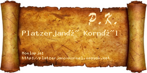 Platzerjanó Kornél névjegykártya